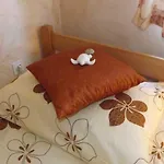 Bubnic Apartament *